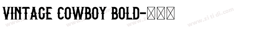 Vintage Cowboy Bold字体转换